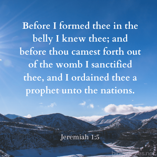 Jeremiah 1:5 - Bibleverses.net