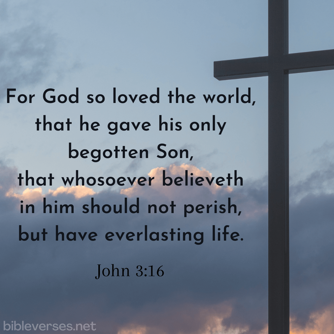 John 3:16 - Bibleverses.net