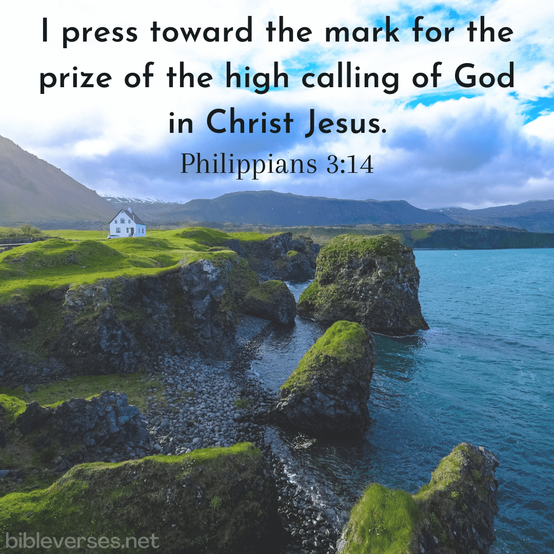 Philippians 3:14 - Bibleverses.net
