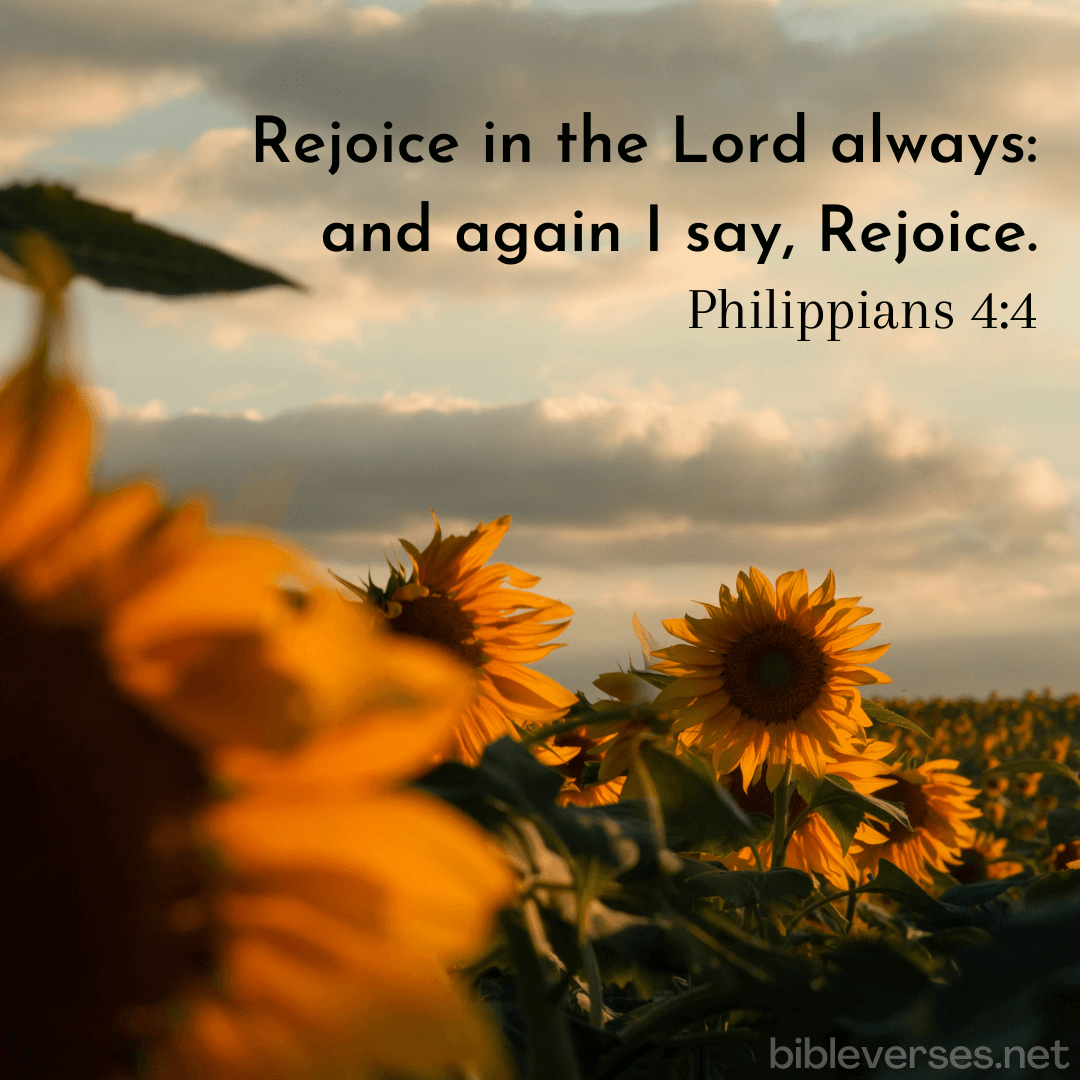 Philippians 4:4 - Bibleverses.net