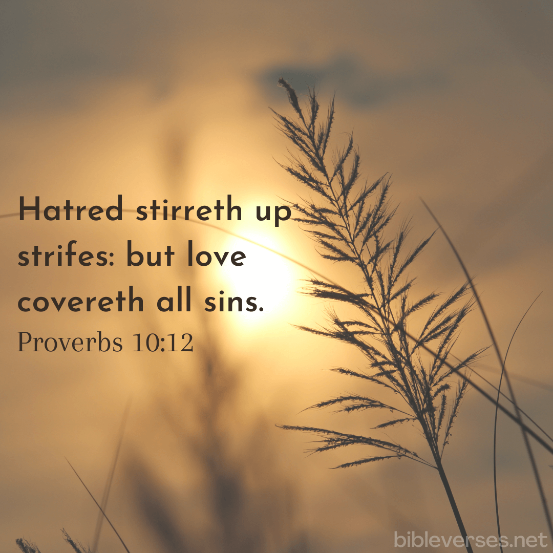 Proverbs 10:12 - Bibleverses.net