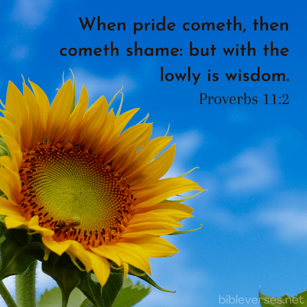 Proverbs 11:2 - Bibleverses.net
