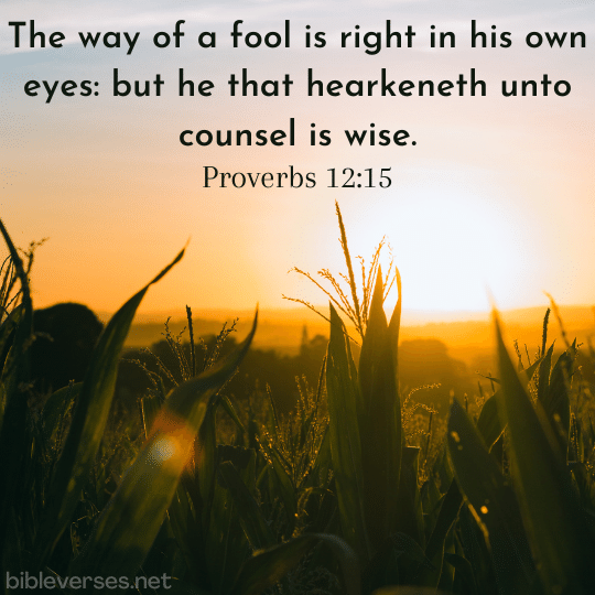 Proverbs 12:15 - Bibleverses.net