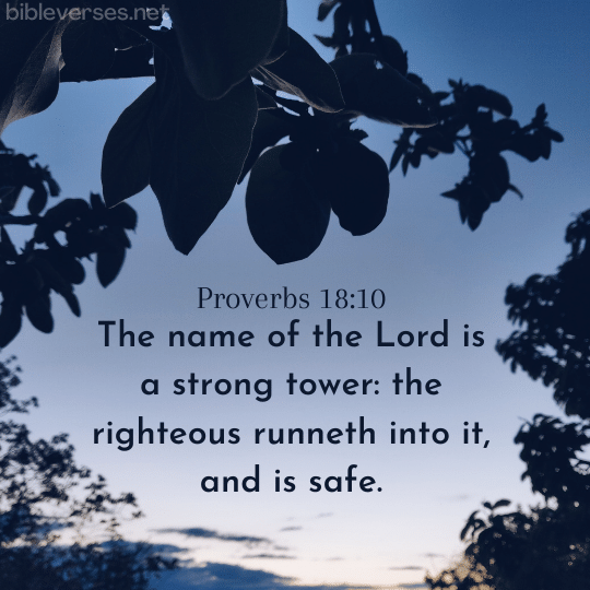 Proverbs 18:10 - Bibleverses.net
