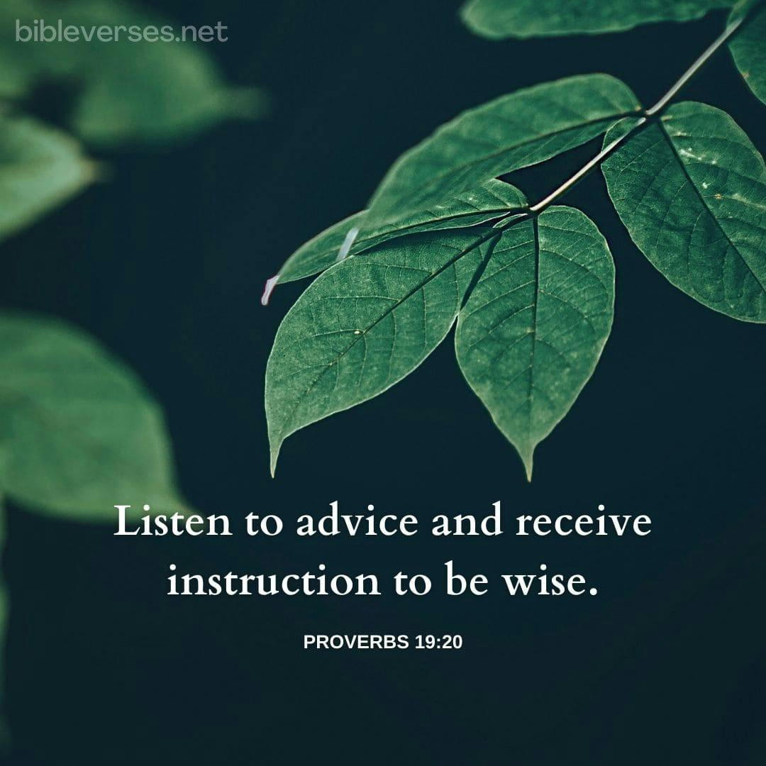 Proverbs 19:20 - Bibleverses.net