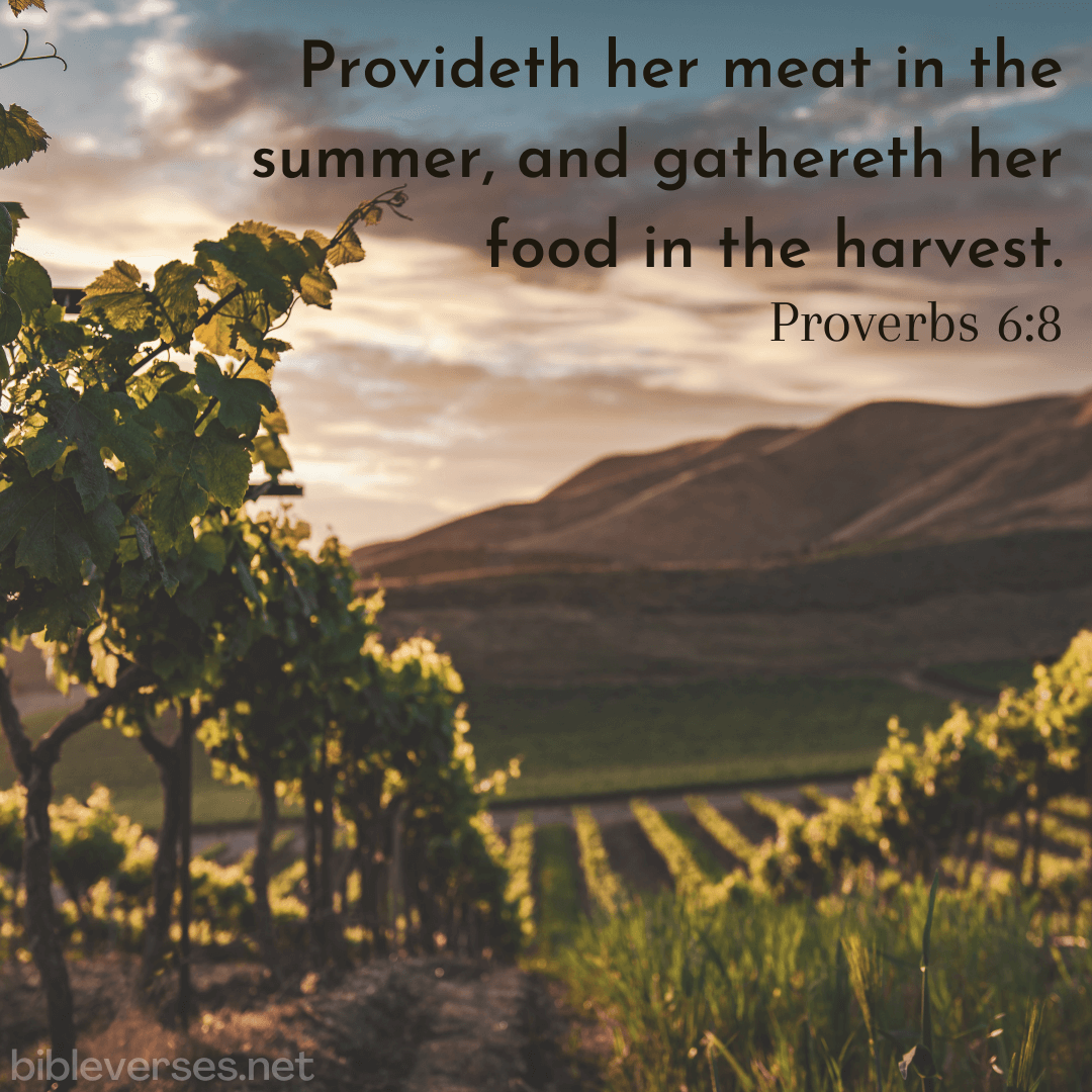 Proverbs 6:8 - Bibleverses.net