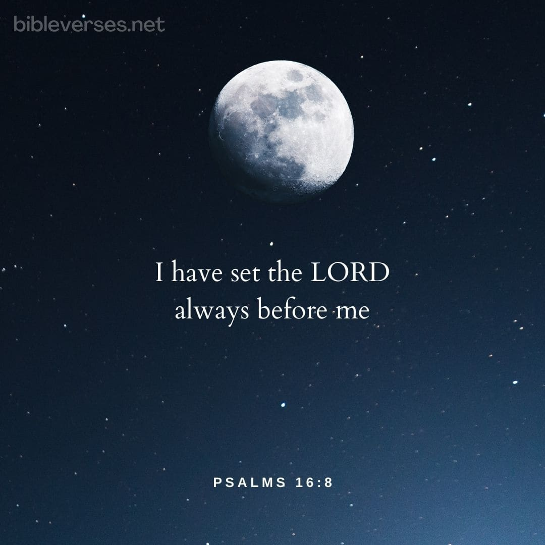 Psalms 16:8 - Bibleverses.net
