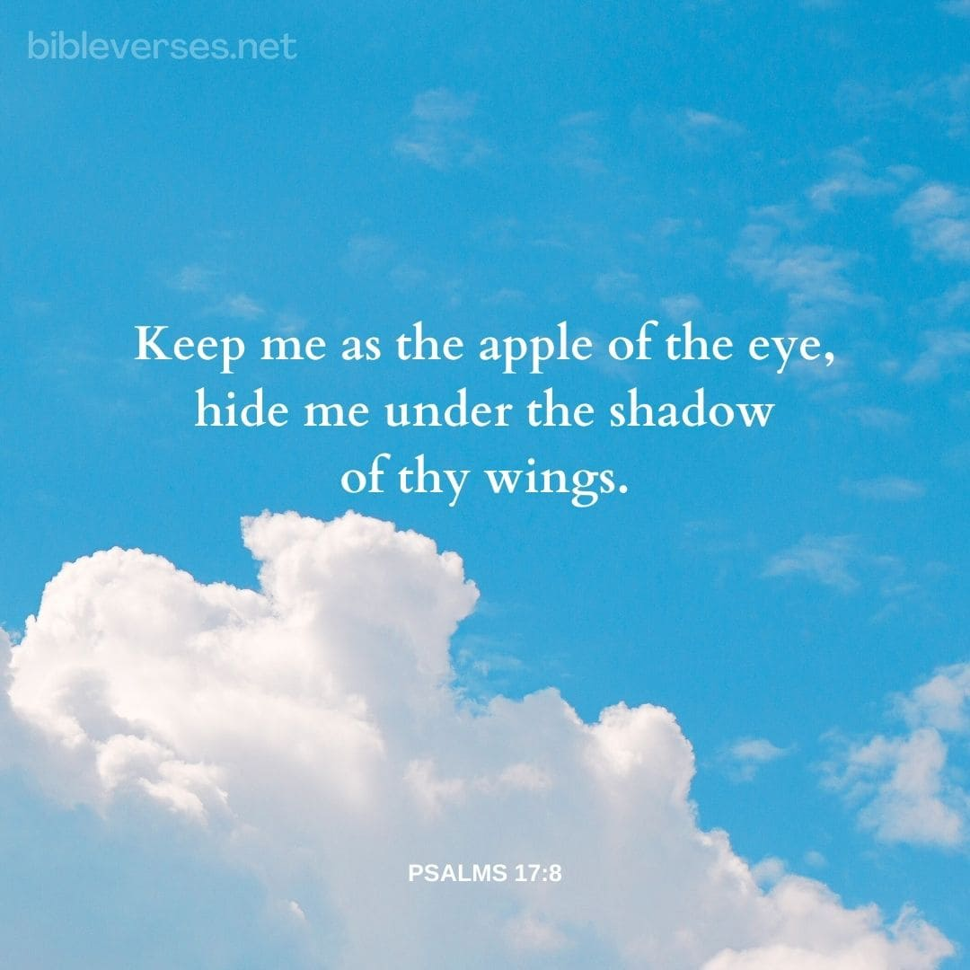 Psalms 17:8 - Bibleverses.net
