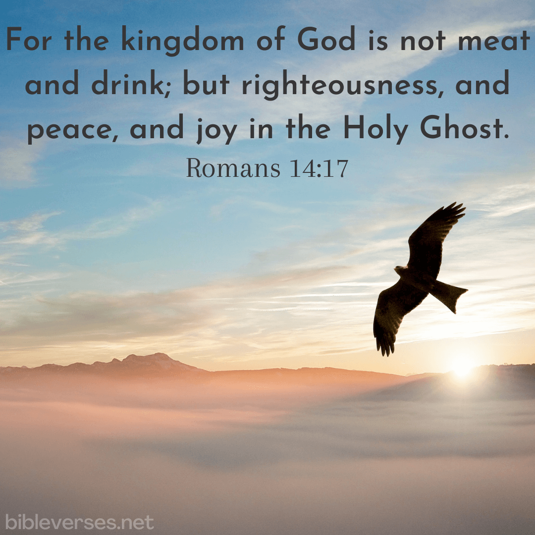 Romans 14:17 - Bibleverses.net