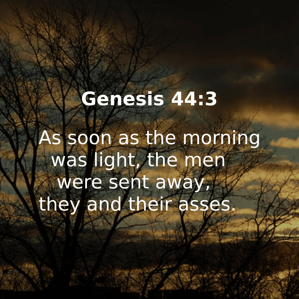 Genesis 44:3 - Bibleverses.net