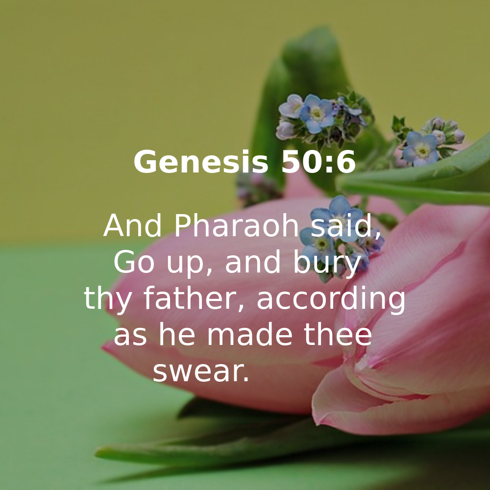 Genesis 50:6 - Bibleverses.net