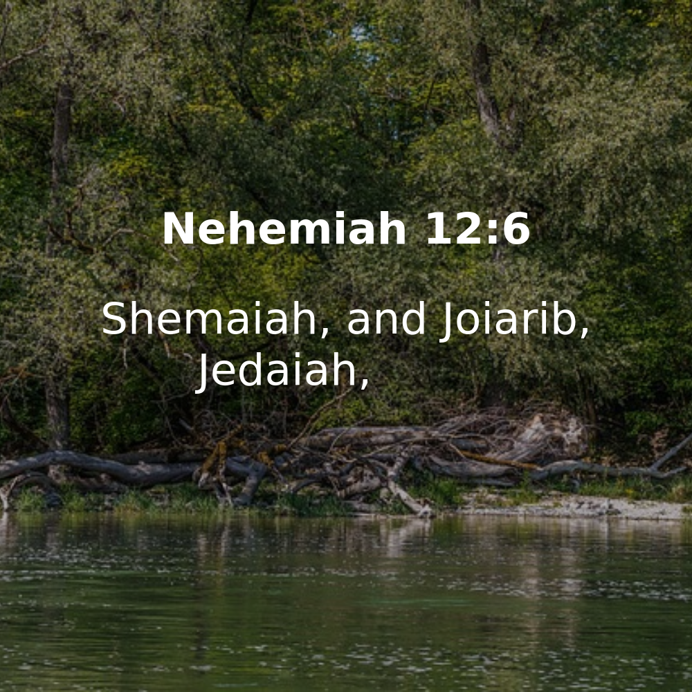 Nehemiah 12:6 - Bibleverses.net
