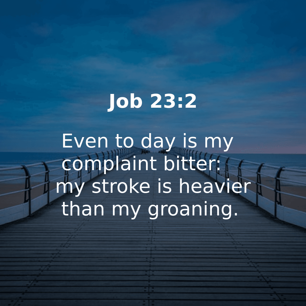 Job 23:2 - Bibleverses.net