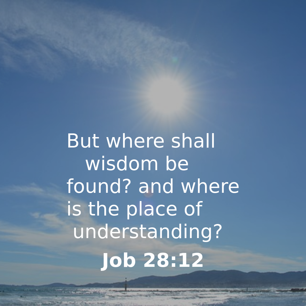 Job 28:12 - Bibleverses.net