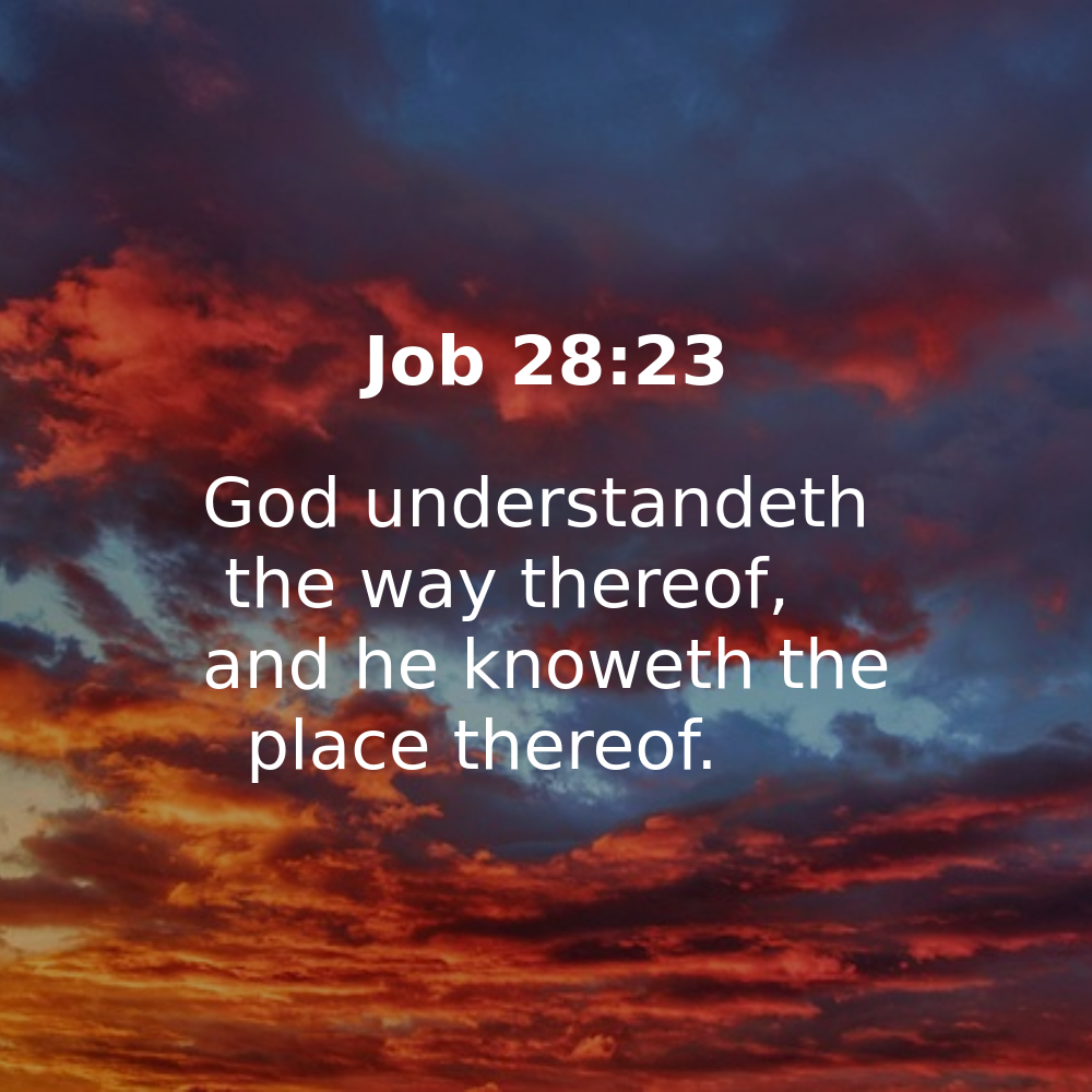 Job 28:23 - Bibleverses.net