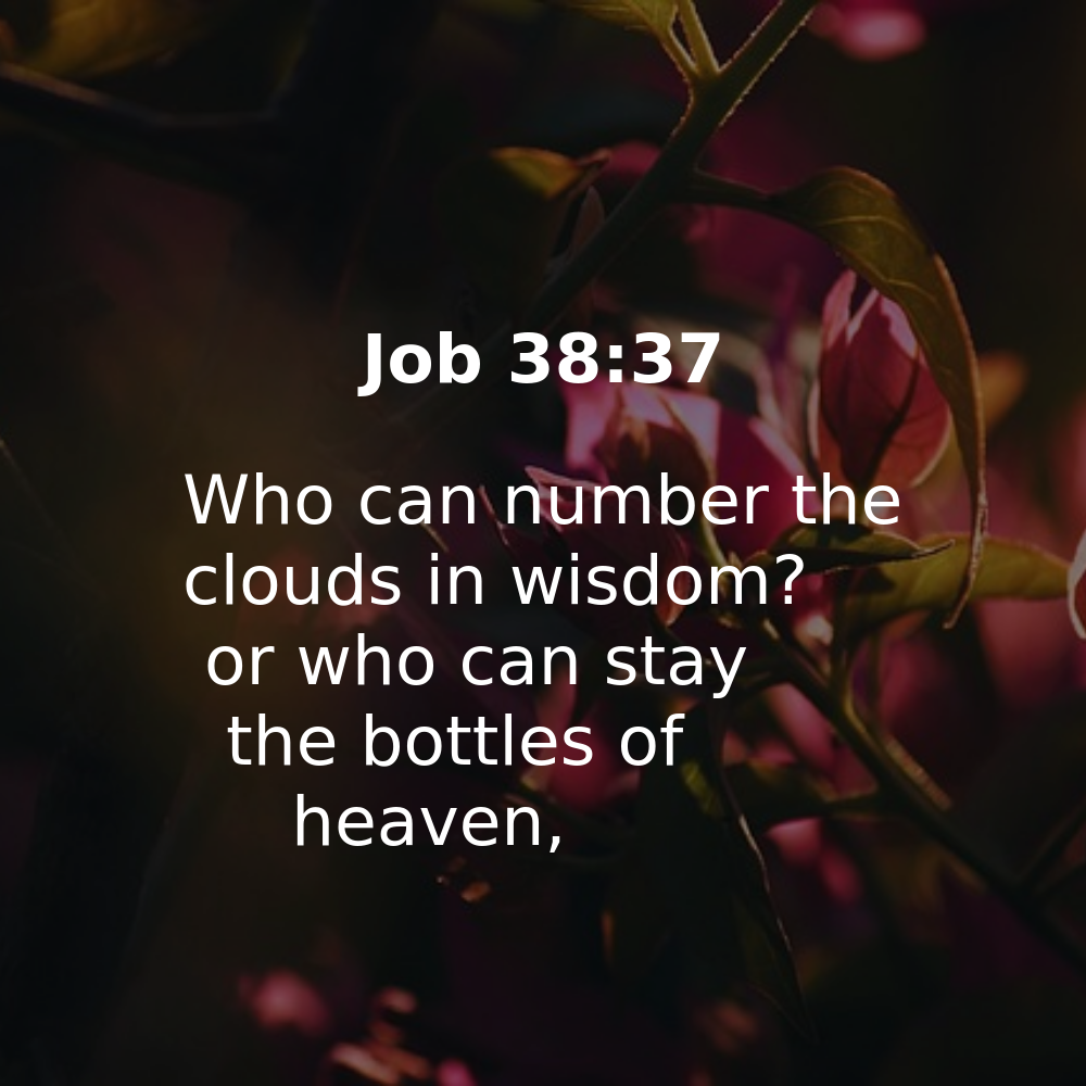 Job 38:37 - Bibleverses.net