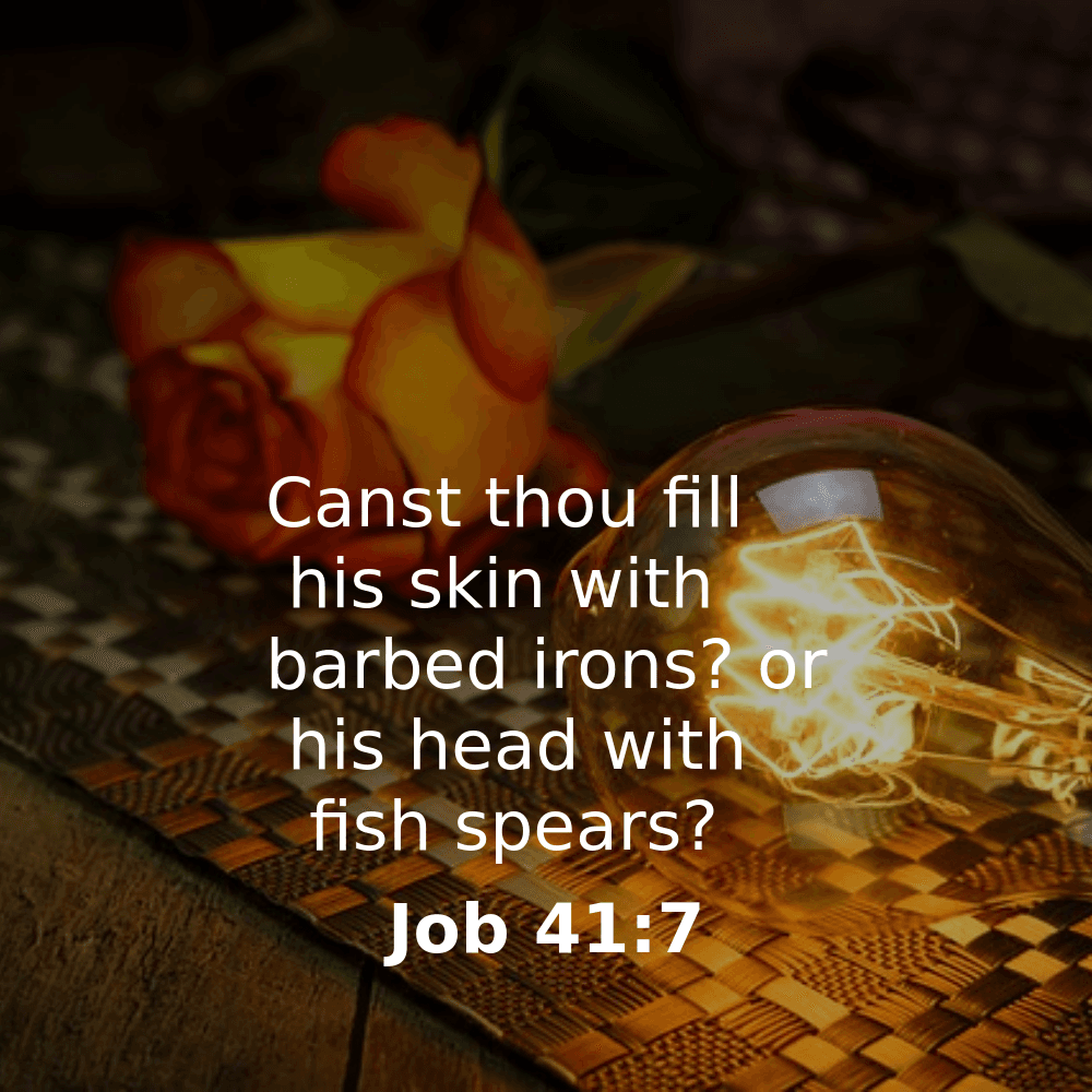 Job 41:7 - Bibleverses.net