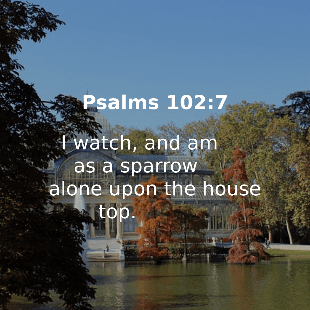 Psalms 102:7 - Bibleverses.net