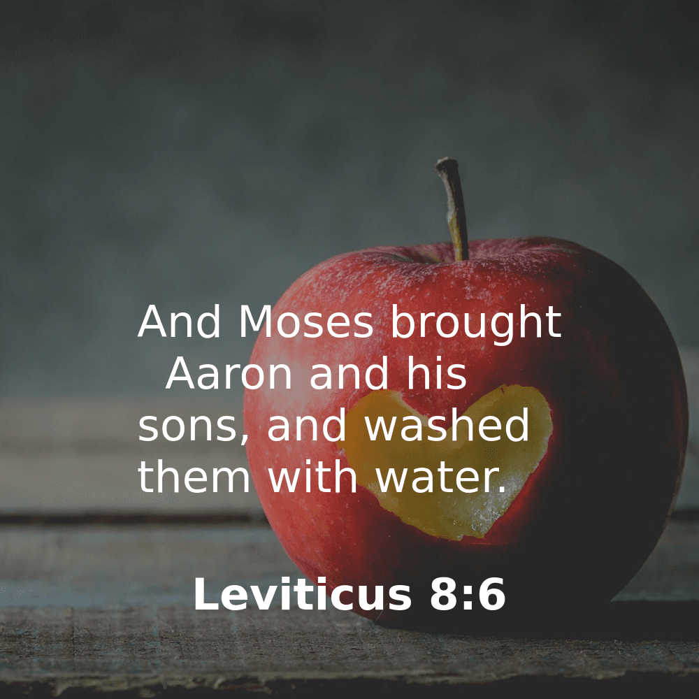 Leviticus 8:6 - Bibleverses.net