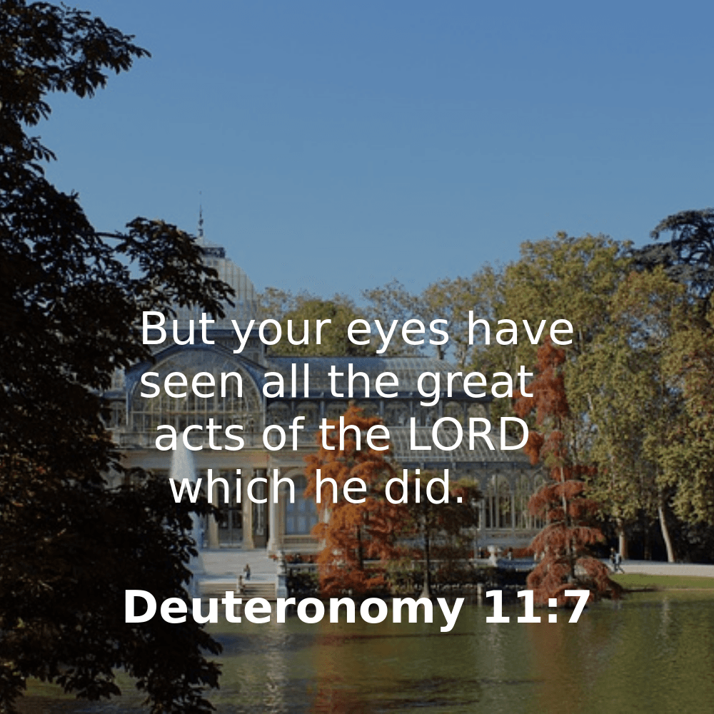 Bible Verse of the Day (KJV) - Bibleverses.net